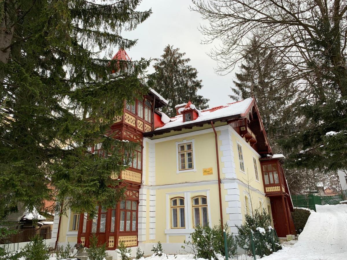 Vila Flavia Sinaia Exterior foto